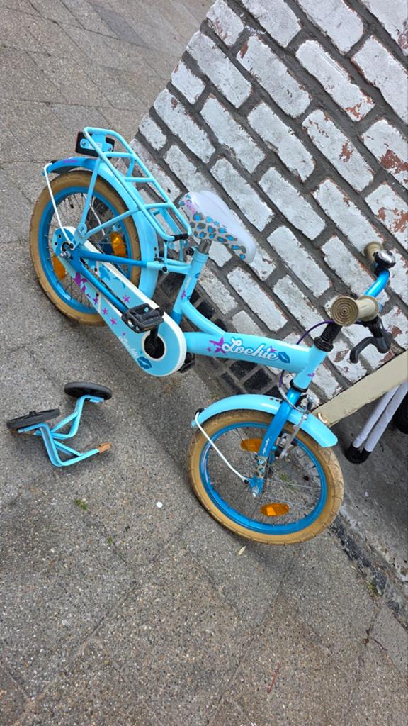 Loekie fiets 16 inch, Ophalen of Verzenden, Gebruikt, 16 tot 20 inch, Zijwieltjes