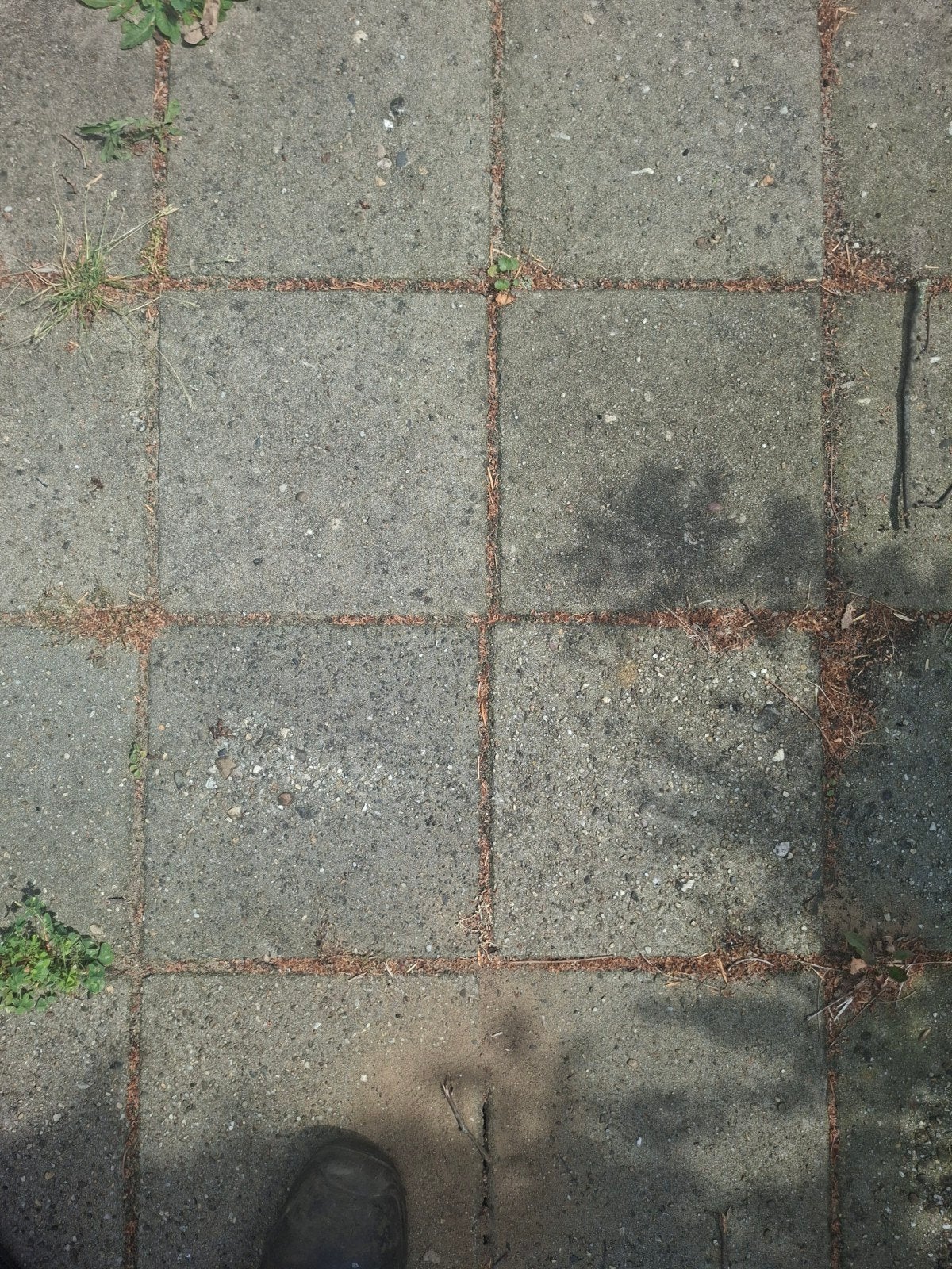 Gratis tegels, grindtegels en Betonklinkers, Tuin en Terras, Tegels en Klinkers, Ophalen, Gebruikt, Beton, Terrastegels