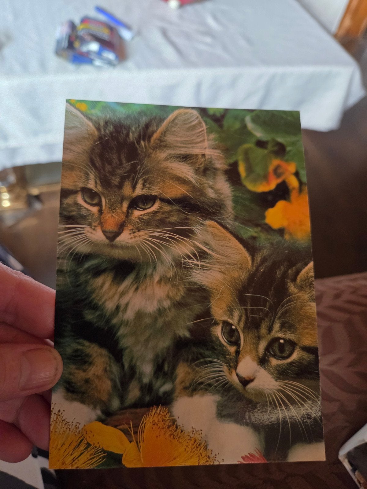 Ansichtkaart met schattige poezen, Ophalen of Verzenden, Hond of Kat