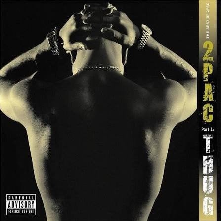 2pac, Cd's en Dvd's, Ophalen of Verzenden, Gebruikt
