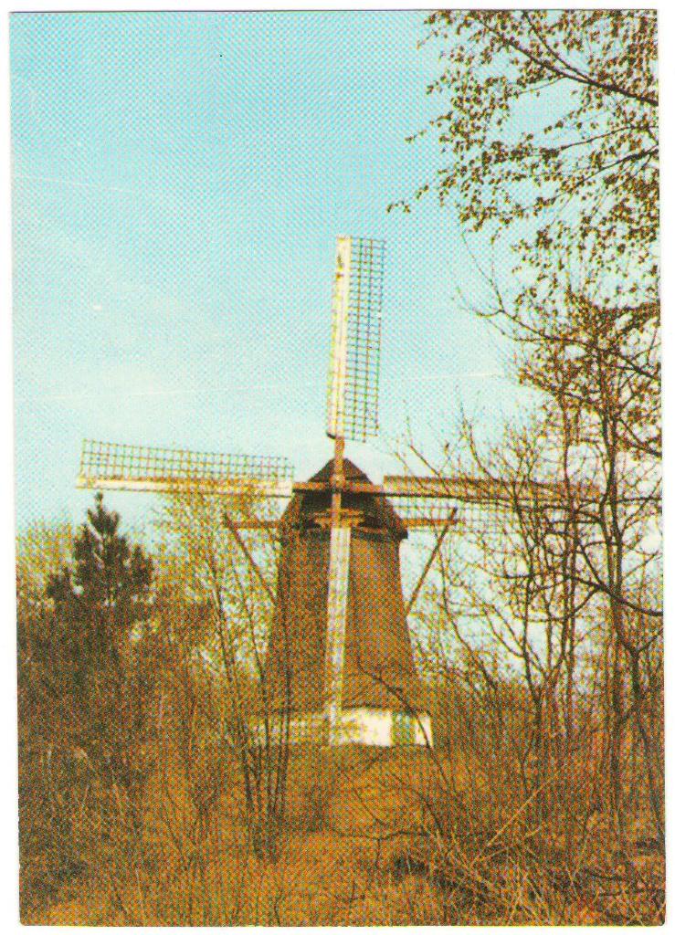 Ansichtkaart Wapenveld, Molen de Vlijt, Ophalen, Ongelopen, Gelderland