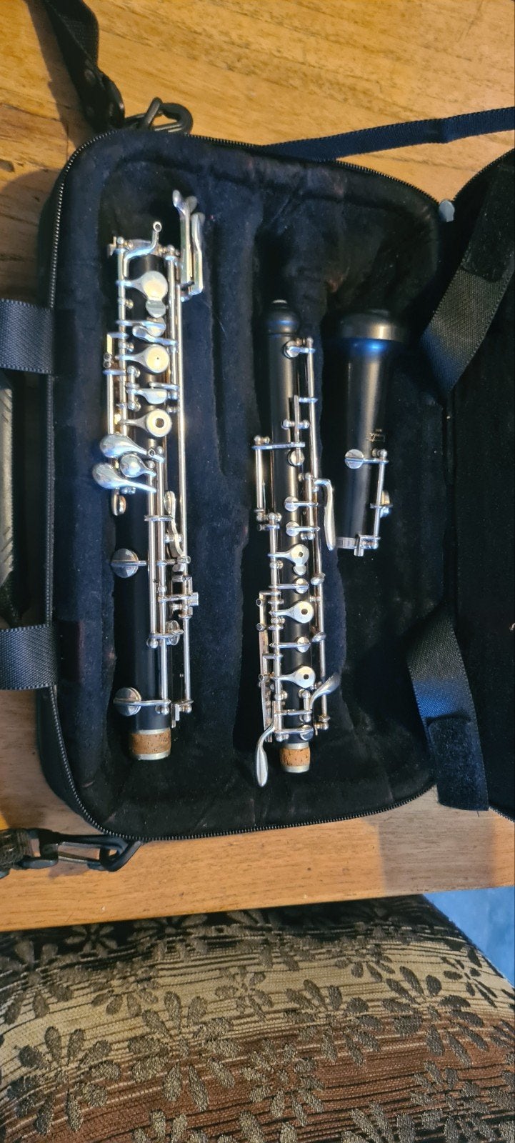 Hobo in koffer - Compleet en klaar om te spelen, Muziek en Instrumenten, Blaasinstrumenten | Hobo's, Gebruikt, Niet van toepassing