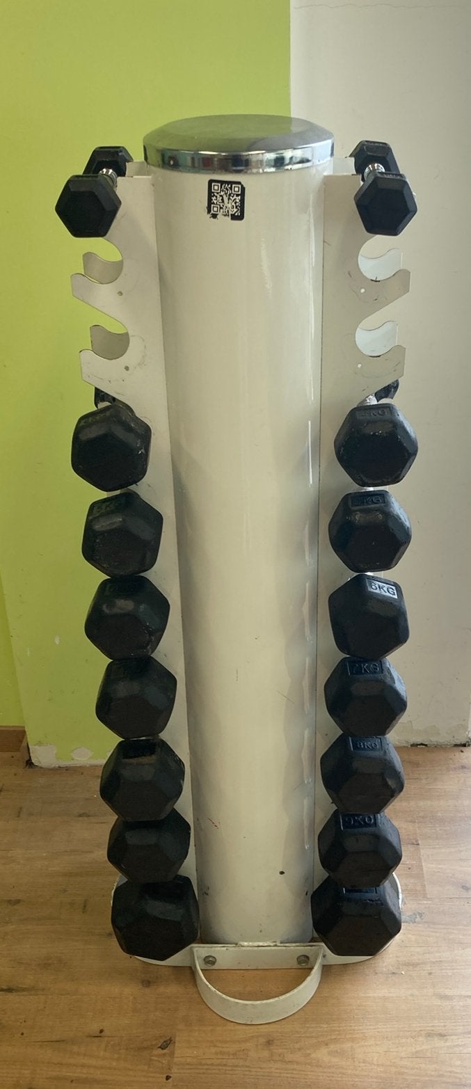 Hex Dumbbell set met toren - 1-10kg (2 & 3kg ontbreken), Sport en Fitness, Fitnessmaterialen, Ophalen, Gebruikt, Buik, Dumbbell