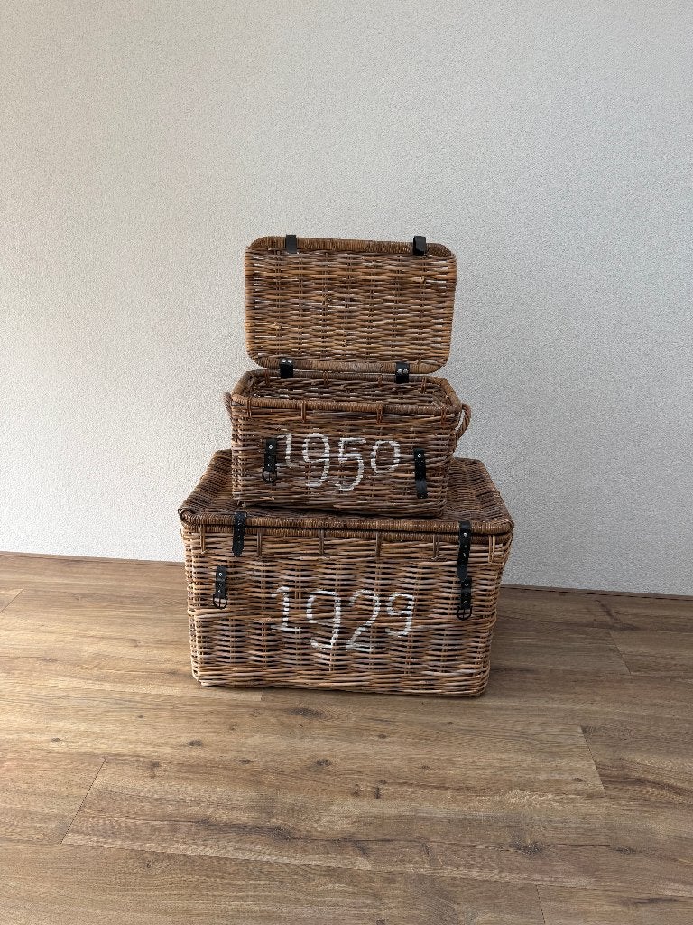 Rieten Opbergkisten met Deksel (Riviera Maison Stijl), Ophalen, 50 tot 100 cm, Zo goed als nieuw, 75 tot 100 cm