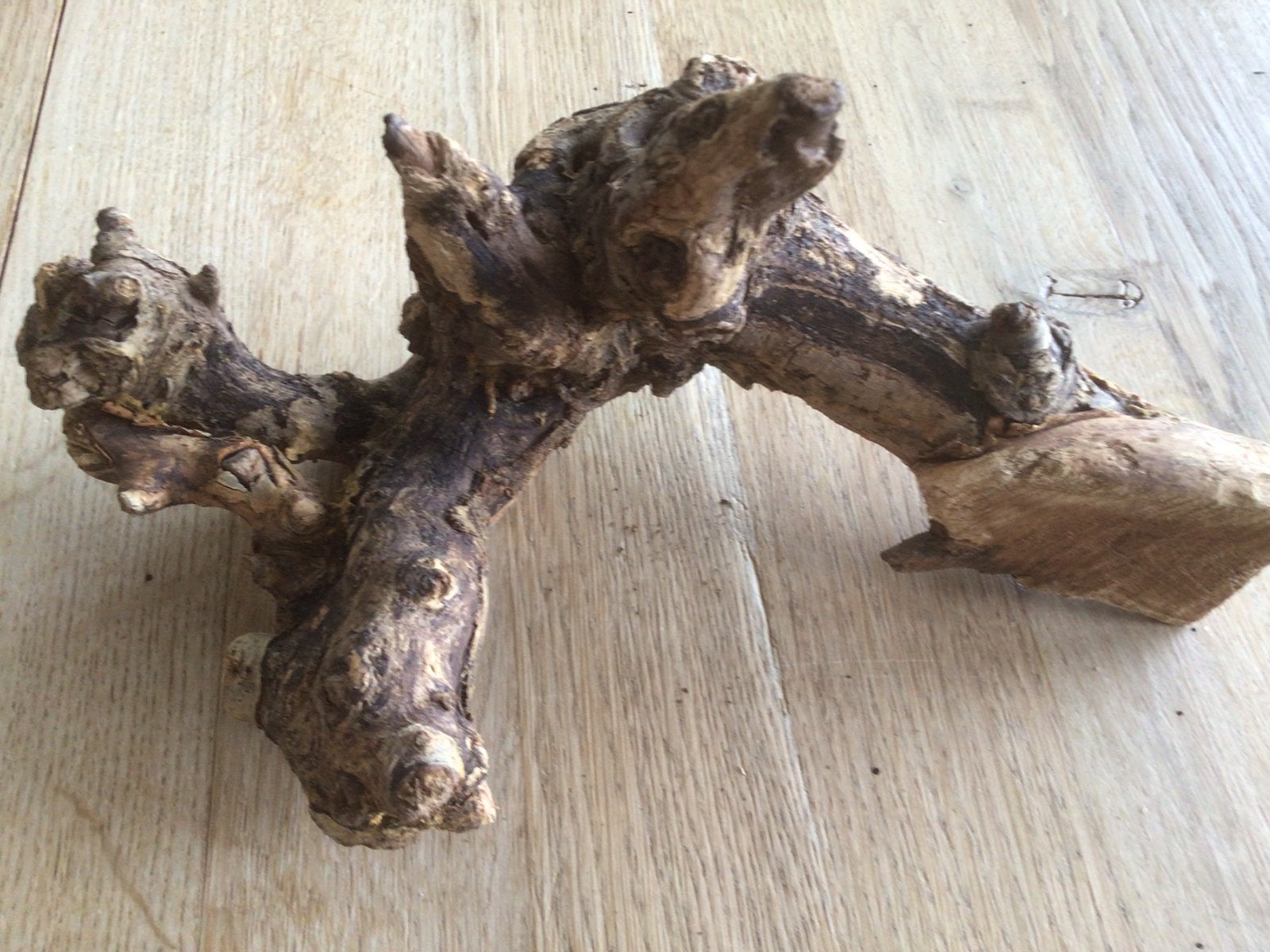 Druivenstronk, Huis en Inrichting, Hout, Gebruikt, Ophalen of Verzenden, Landelijk