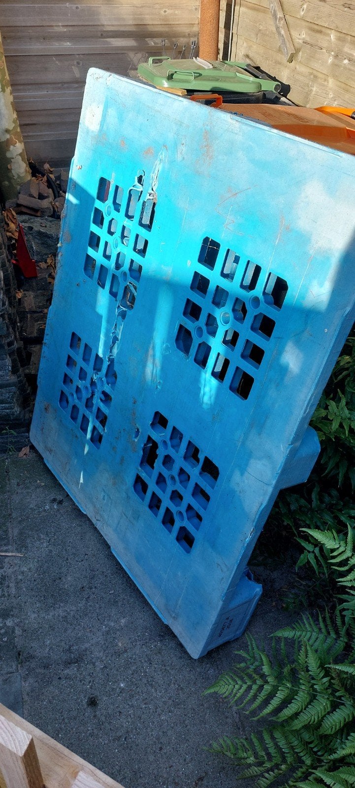 Gratis kunststof pallet, Ophalen, 100 cm of meer, 60 cm of meer, Overige typen