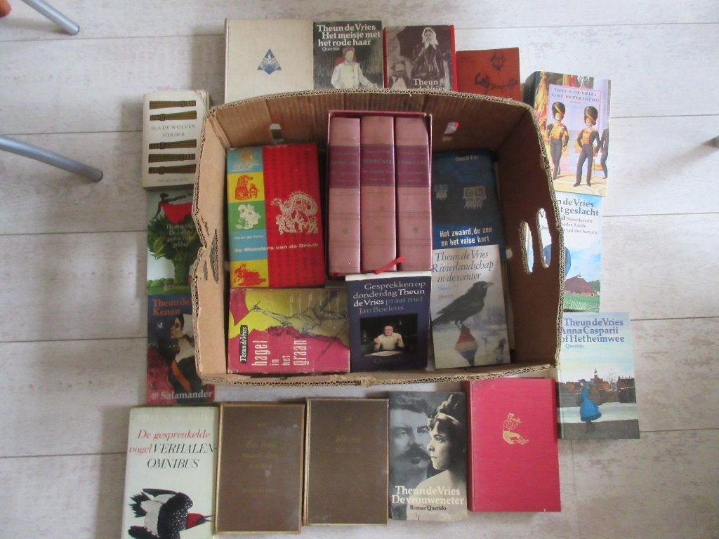 Veel Boeken van Theun de Vries, Ophalen of Verzenden, Gelezen, Theun de Vries, Nederland