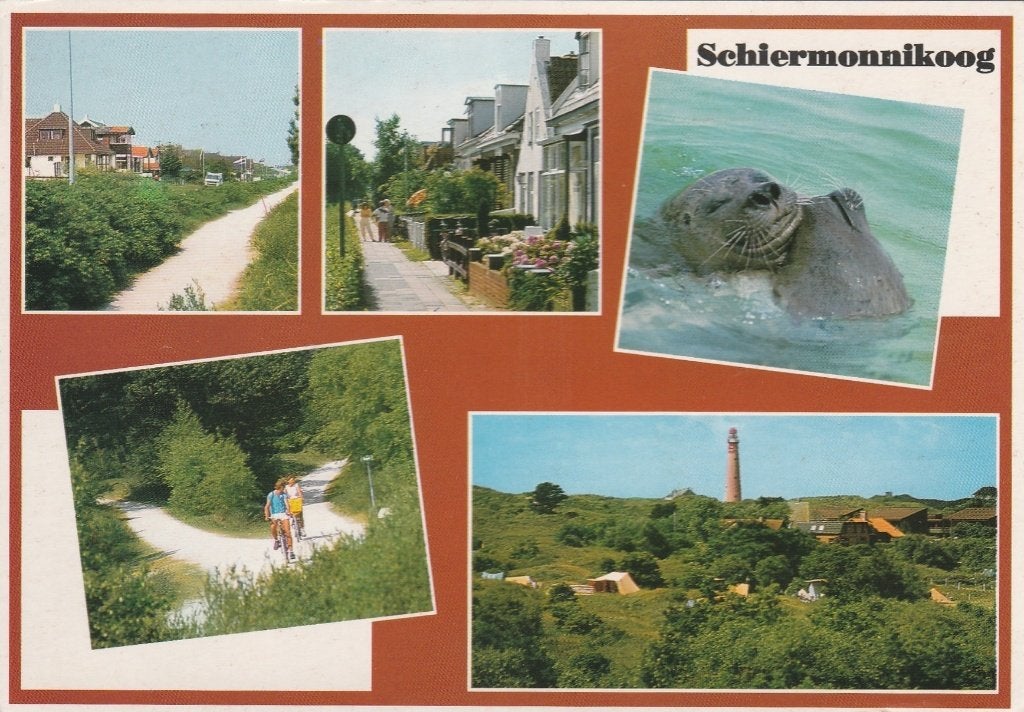 SCHIERMONNIKOOG Fietspaden Zeehond Vuurtoren, Verzenden, 1980 tot heden, Gelopen, Waddeneilanden