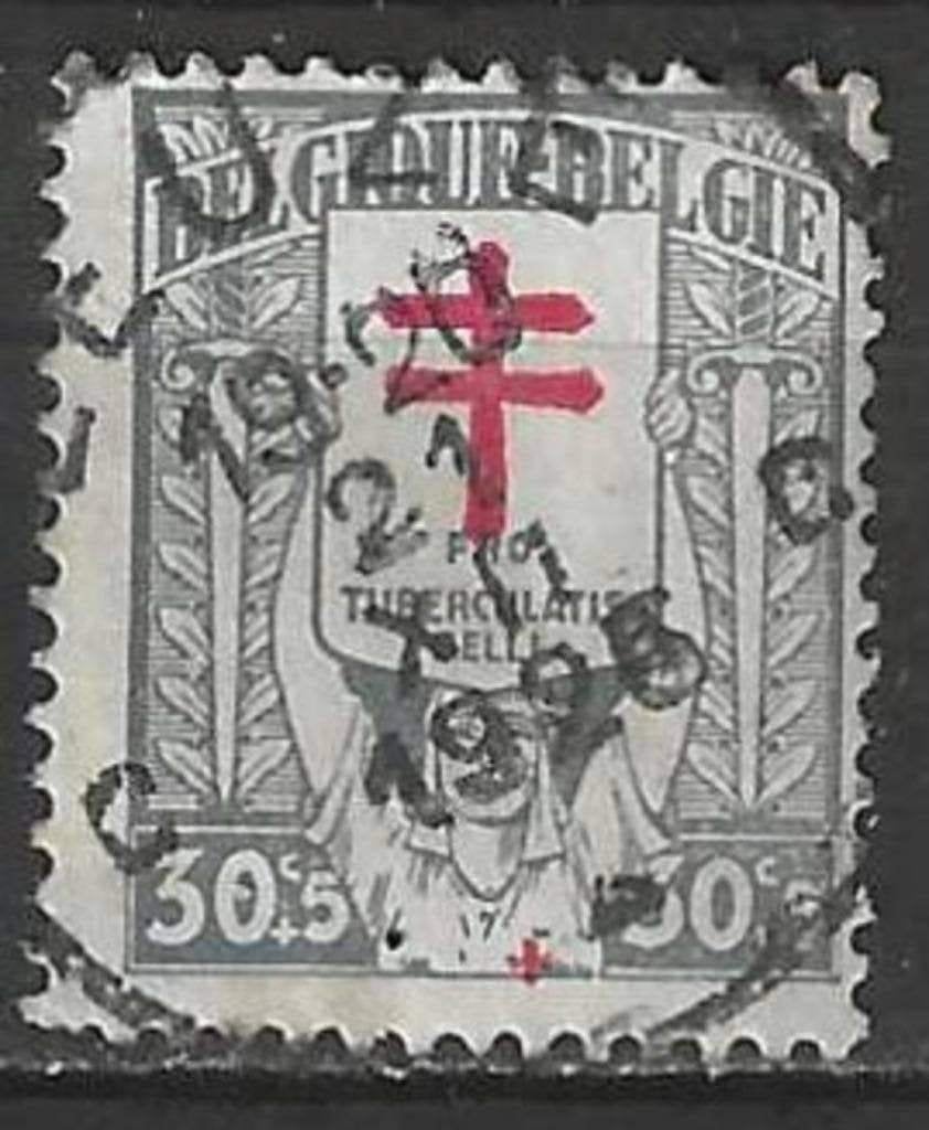 Belgie 1925 - Yvert/OBP 235 - Tuberculosebestrijding (ST), Verzenden, Gestempeld