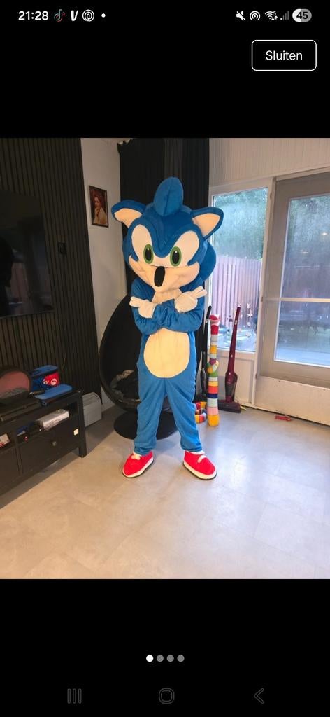 Sonic mascotte, Ophalen of Verzenden, Carnaval