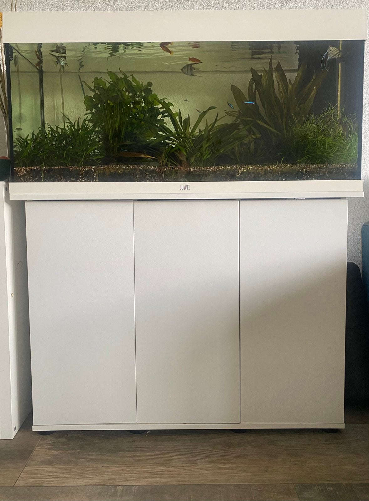 Aquarium juwel 185 liter + meubel, Dieren en Toebehoren, Ophalen, Gebruikt, Gevuld zoetwateraquarium, Juwel