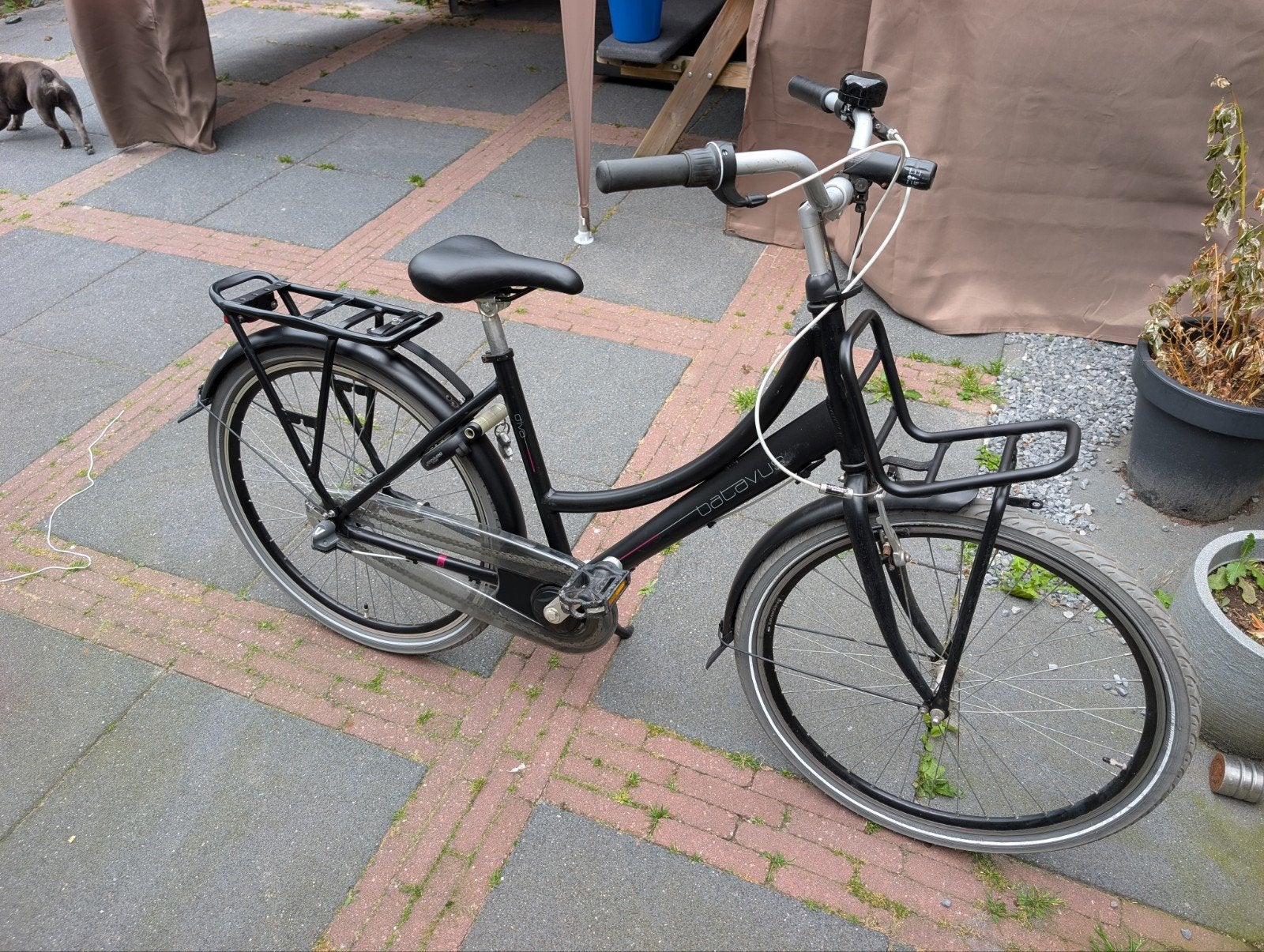 Batavus Diva meisjesfiets, framemaat 43 cm 26 inch wielen, Ophalen, Terugtraprem, Gebruikt, Versnellingen