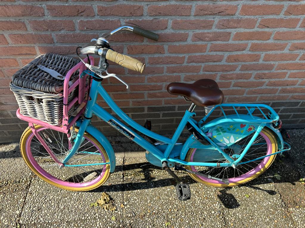 Popal 22 inch meisjes fiets met mandje, Ophalen, Zo goed als nieuw, 22 inch