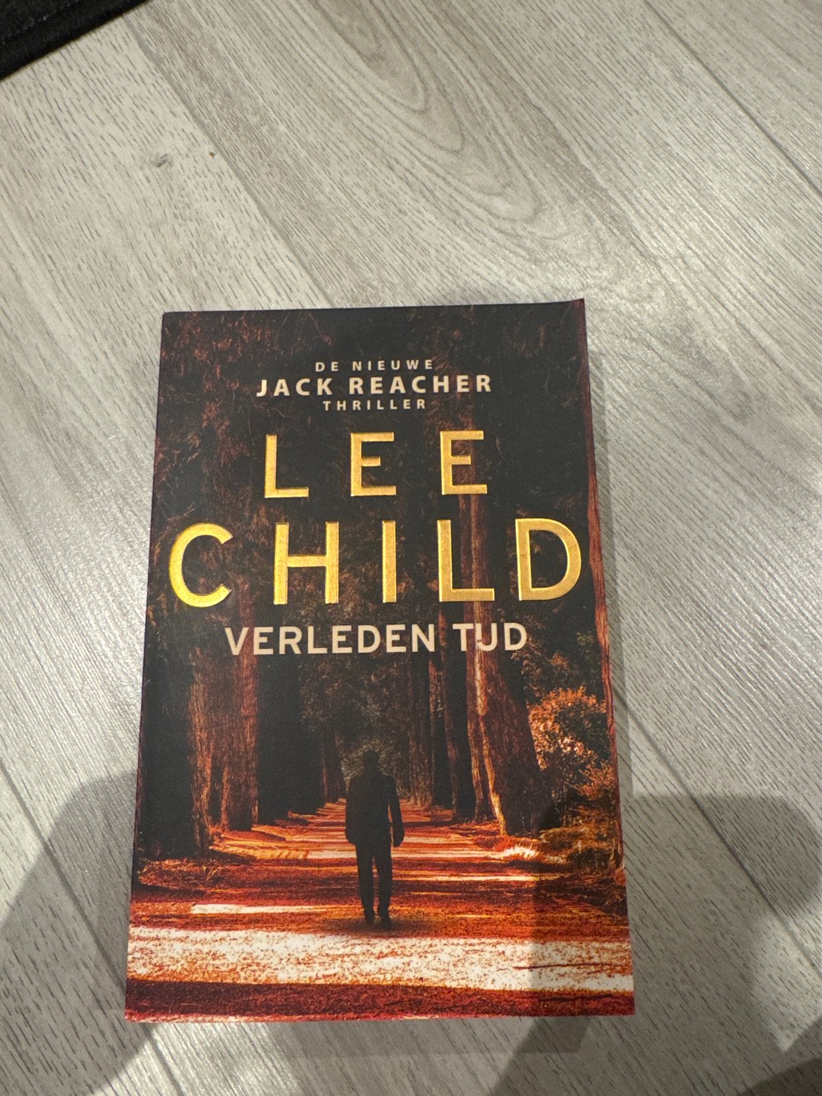 Lee Child - Verleden Tijd (Jack Reacher Thriller), Boeken, Ophalen of Verzenden, Zo goed als nieuw, Nederland