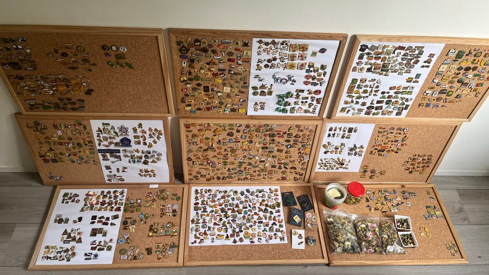 Grote verzameling pins, Gebruikt, Ophalen of Verzenden, Speldje of Pin, Nvt