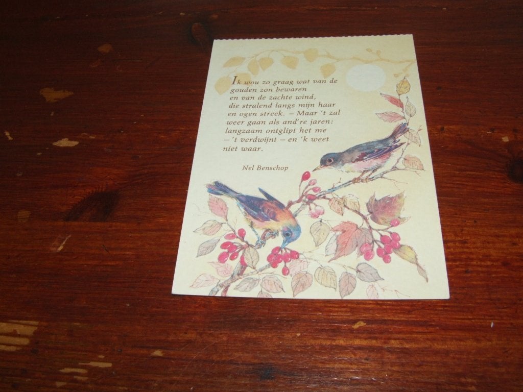 A52- Ansichtkaart Nel Benschop - Vogels en gedicht, Verzenden, 1980 tot heden, Zo goed als nieuw, Dier