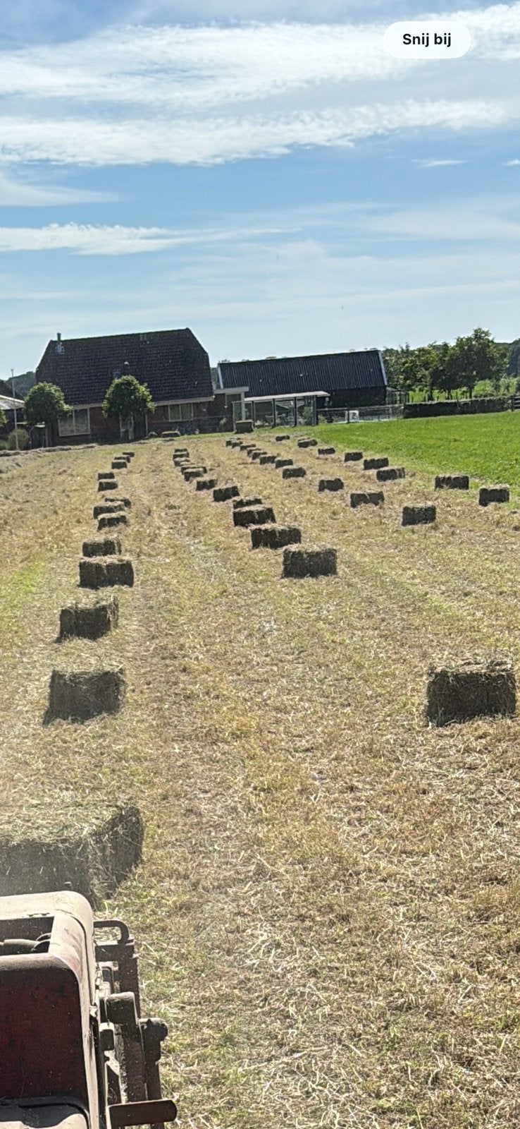 Hooi, hooibalen kleine balen., Ophalen of Verzenden, Vee