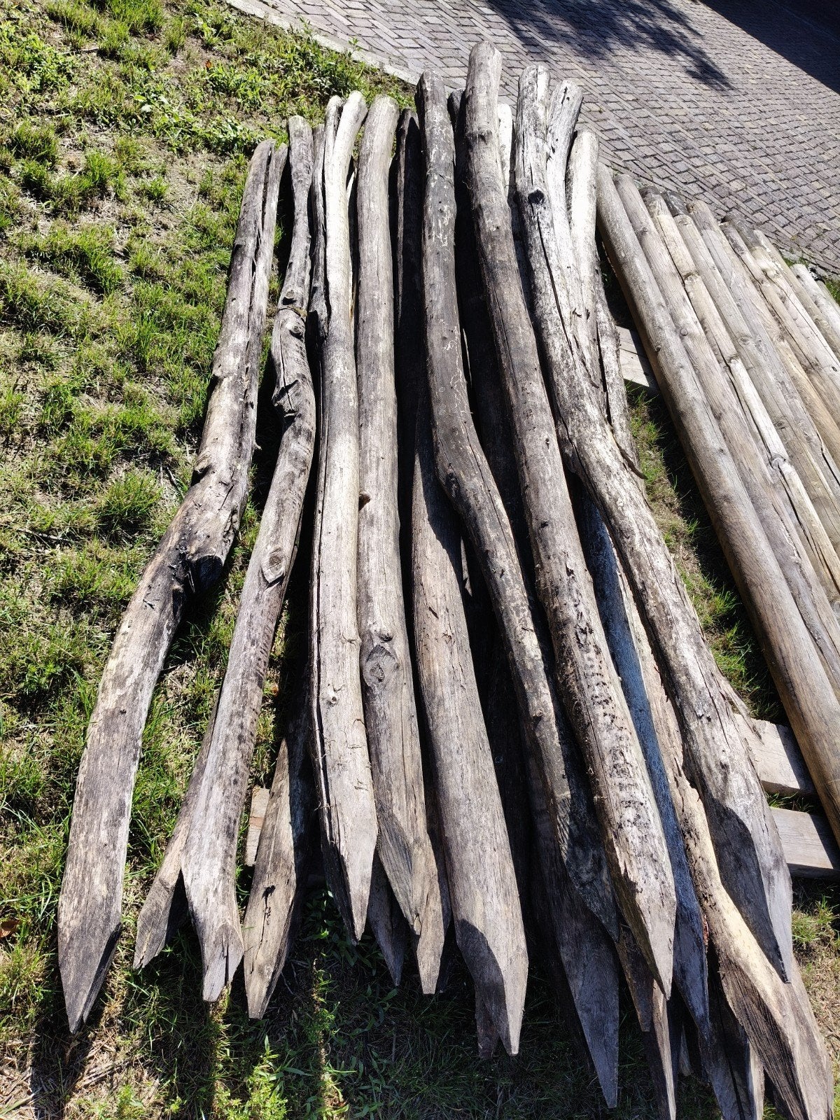 robinia palen 10/14 300cm €17,50 per stuk, Ophalen, Nieuw, 250 cm of meer, Palen