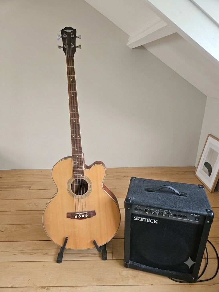 J&D semi akoestische basgitaar, Ophalen of Verzenden, Gebruikt, Semi-akoestisch