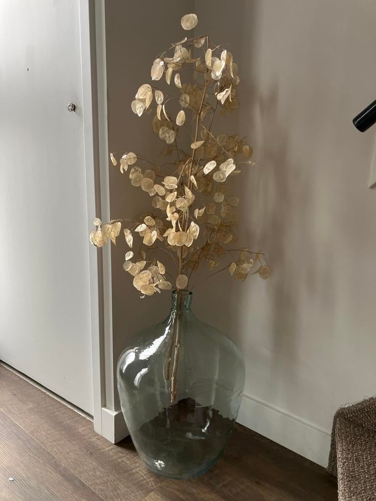 Grote glazen vaas met gedroogde judaspenning, Ophalen, Overige kleuren, 75 cm of meer, Glas