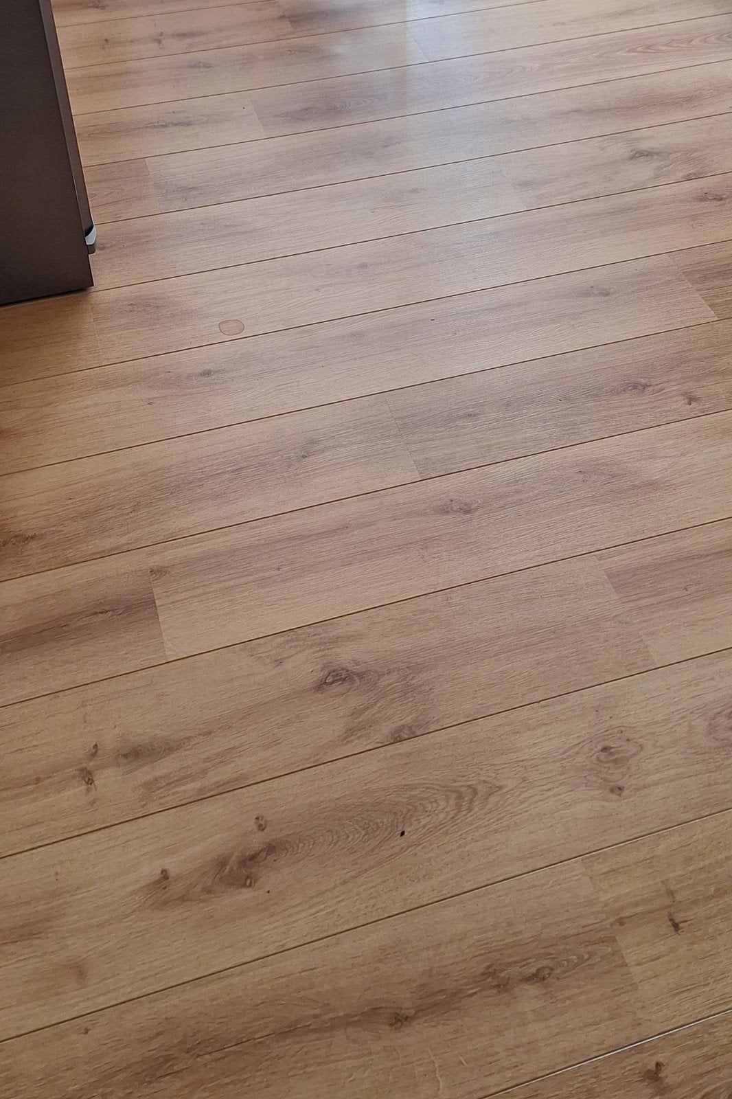 Gratis laminaat vloer (ca. 50 m2) - zelf verwijderen, Ophalen, Gebruikt, Bruin, 50 tot 75 m²