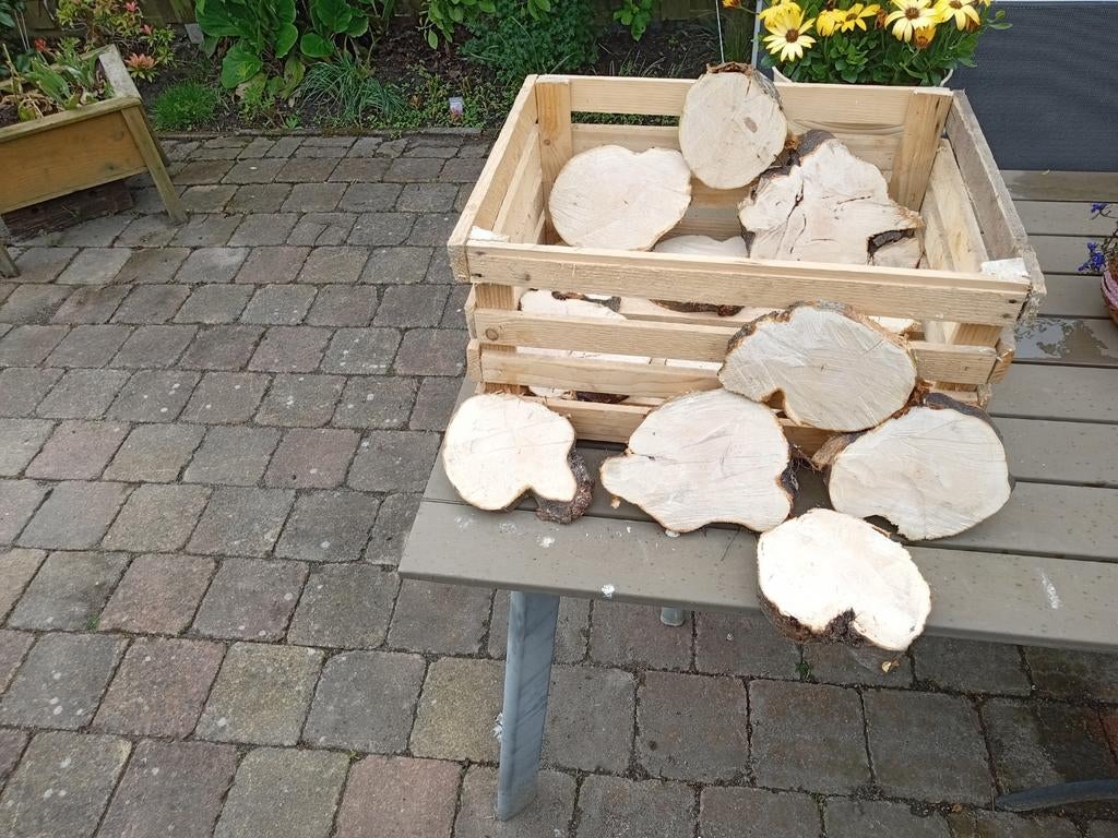 Appelboom, Tuin en Terras, Haardhout, Minder dan 3 m³, Ophalen of Verzenden