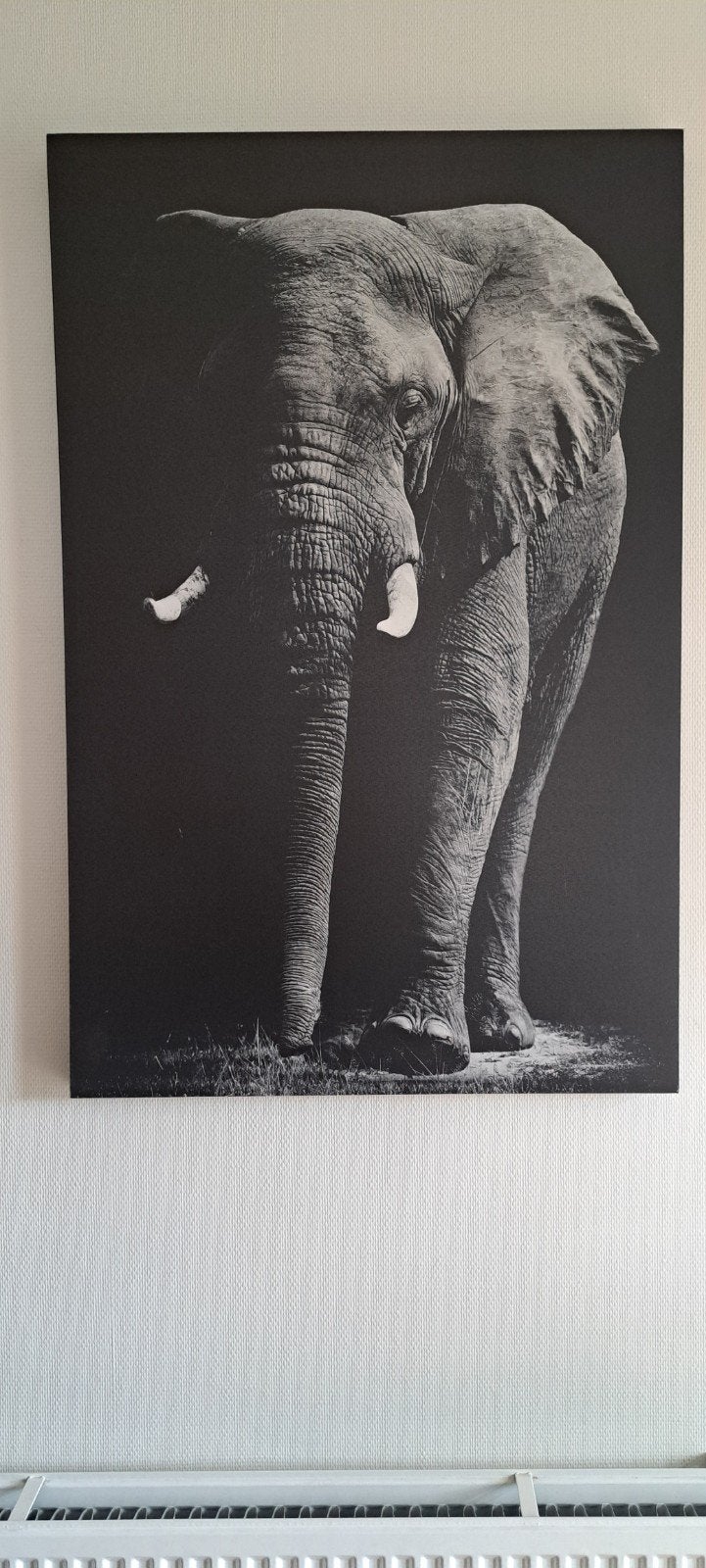 mooi canvas schilderij olifant, Ophalen, Zo goed als nieuw, Schilderij, 75 – 100