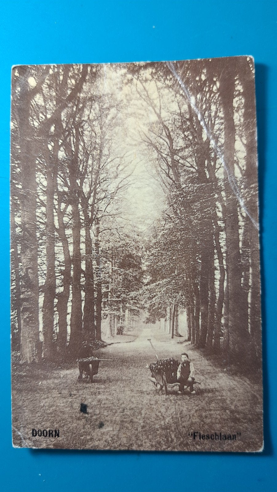 Doorn Fleschlaan kind kruiwagen , Tulpkaart 1909, Ophalen of Verzenden, Voor 1920, Gelopen, Utrecht