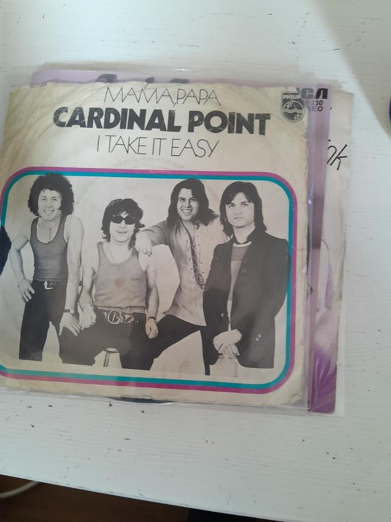 Cardinal point 7inch mama papa, Cd's en Dvd's, Ophalen of Verzenden, Zo goed als nieuw, Pop