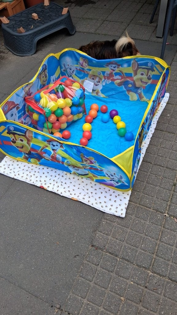 Opvouwbare ballenbak met ballen, Kinderen en Baby's, Speelgoed | Buiten | Los speelgoed, Ophalen, Nieuw