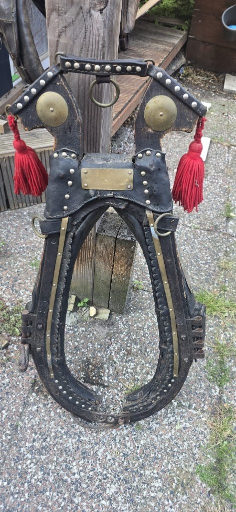 oud paardenjuk, Ophalen of Verzenden, Gebruikt, Overige soorten