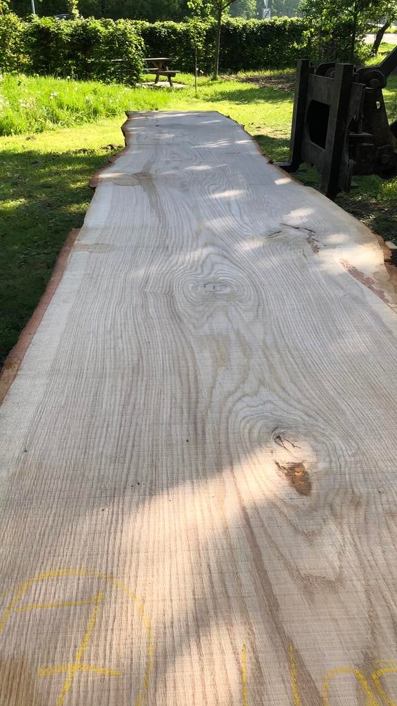 Boomstamblad eikenhout van 490 cm lang!, Tuin en Terras, Palen, Balken en Planken, Nieuw, Planken, 250 cm of meer, Ophalen