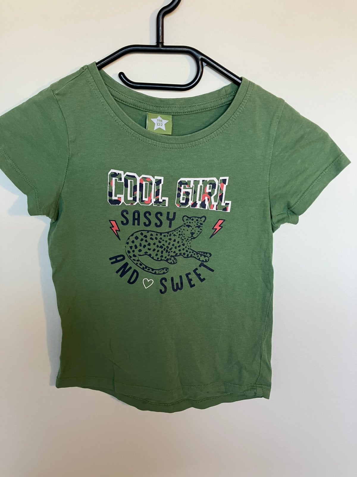 T shirt maat 116/122, Kinderen en Baby's, Kinderkleding | Maat 116, Ophalen of Verzenden, Gebruikt, Meisje, Shirt of Longsleeve