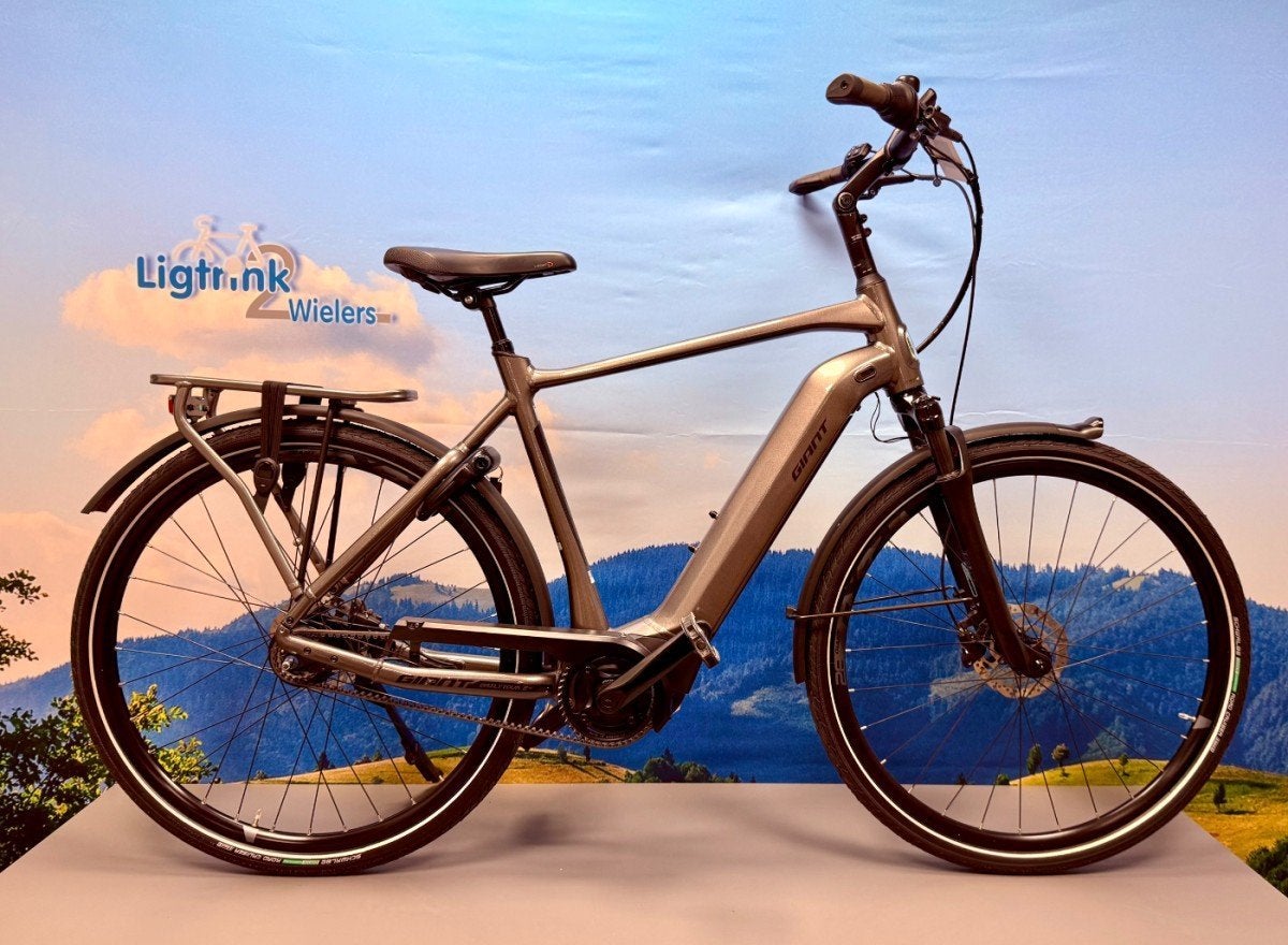 Giant Entour Heren Antraciet 51, Fietsen en Brommers, Ophalen, Gebruikt, -, -