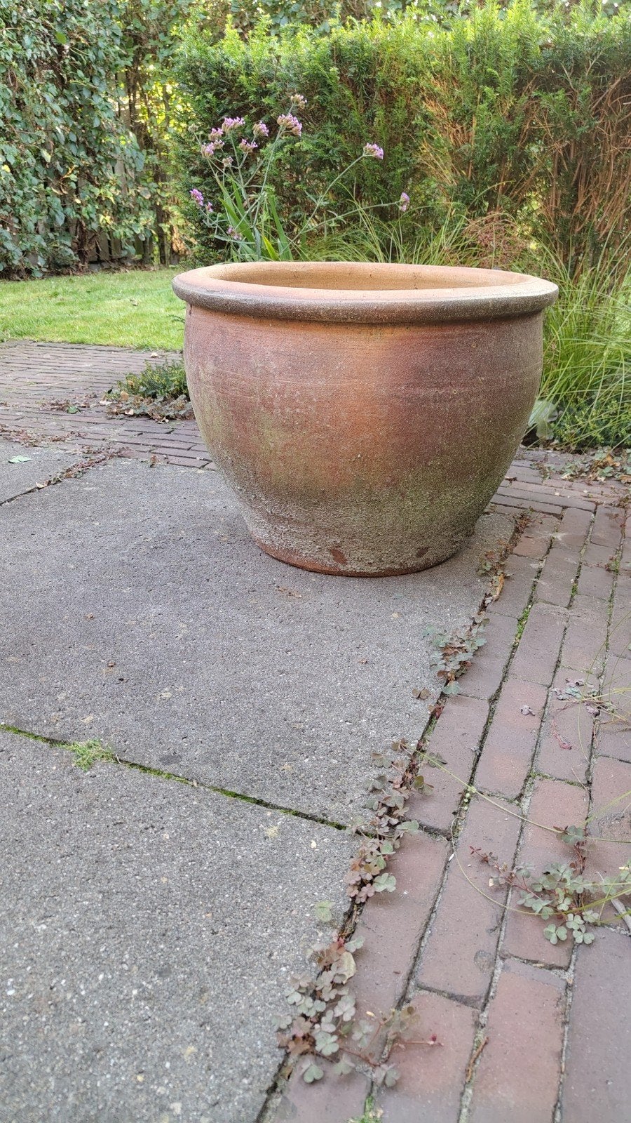 Grote terracotta bloempot - Gebruikt, Ophalen, Overige materialen, Gebruikt, 40 cm of meer