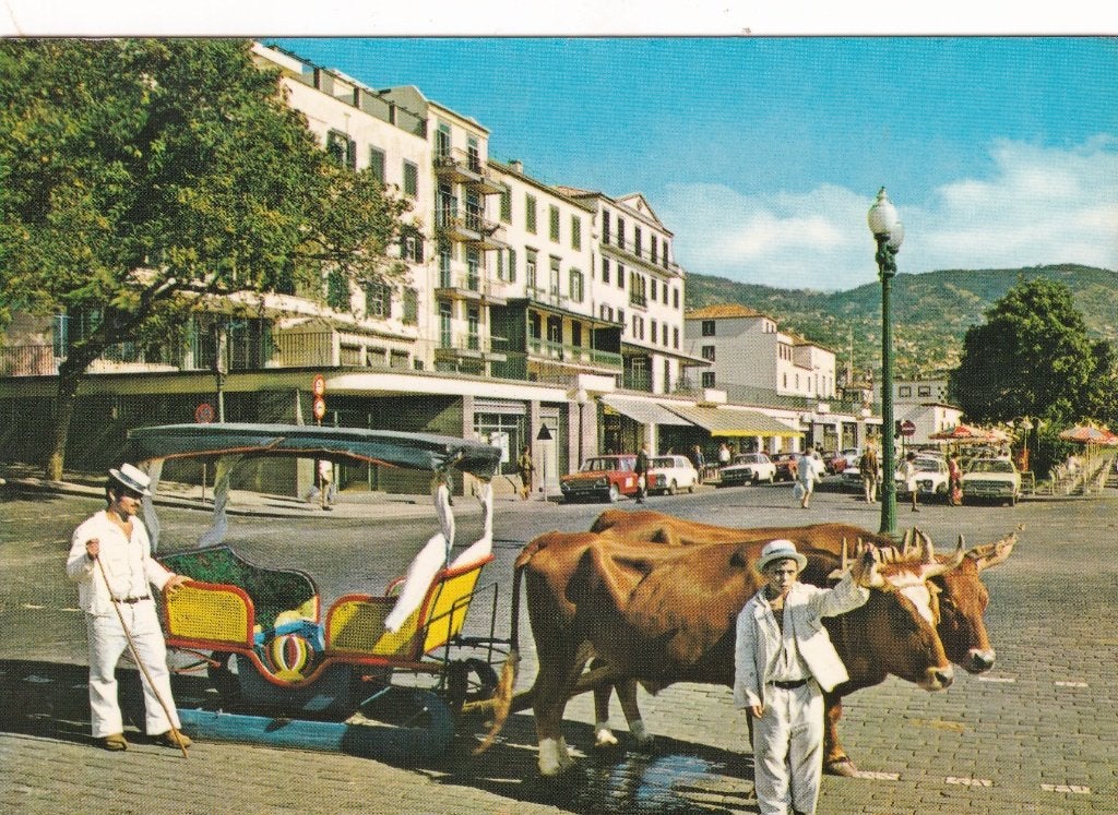 Madeira funchal, carro de bois, Verzamelen, Verzenden, 1980 tot heden, Gelopen, Overig Europa