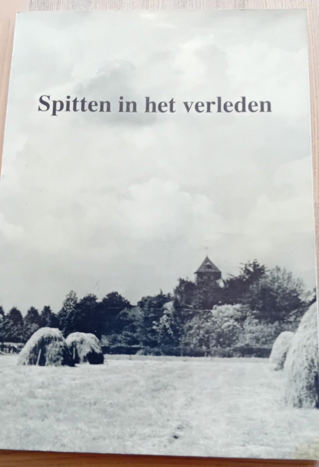 Spitten in het verleden ( Keijenborg ), Ophalen, Gelezen