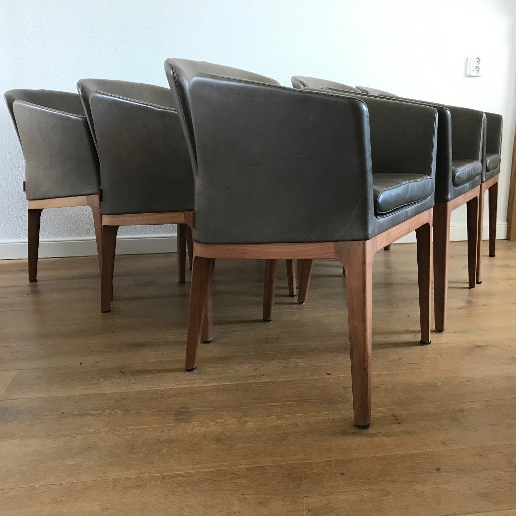 6 leren Montis Lotus + M tulp design stoel modern vintage, Huis en Inrichting, Gebruikt, Leer, Ophalen of Verzenden, Nvt