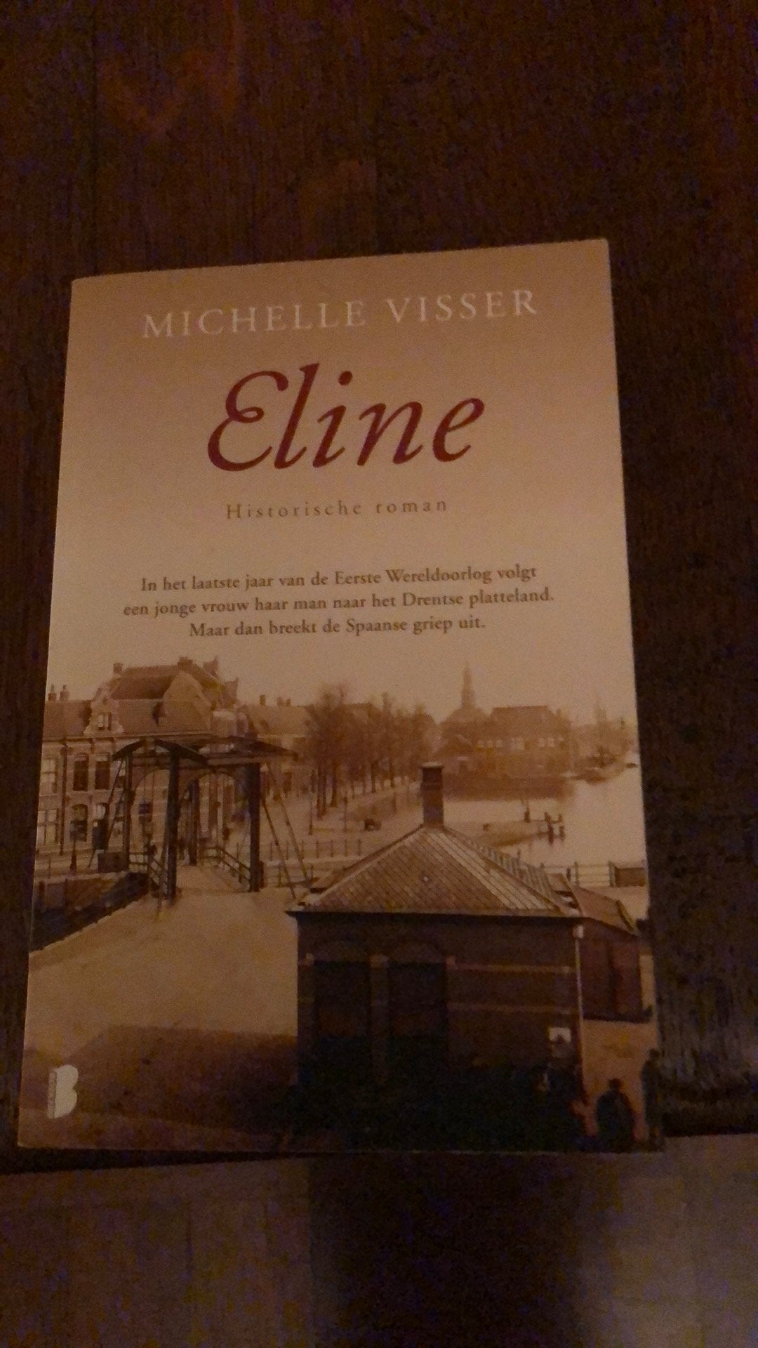 1 boek Michelle Visser., Boeken, Ophalen, Zo goed als nieuw