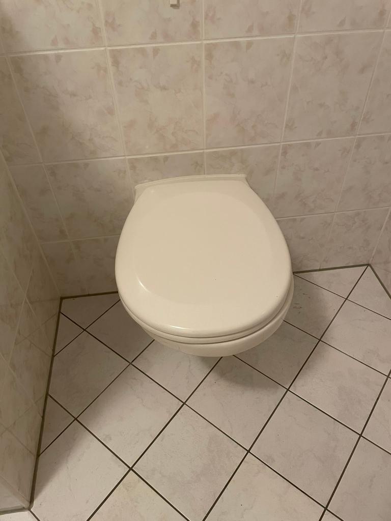 Sphinx wandtoilet, diepspoel, gebroken wit, Ophalen, Gebruikt, Steen, Toilet