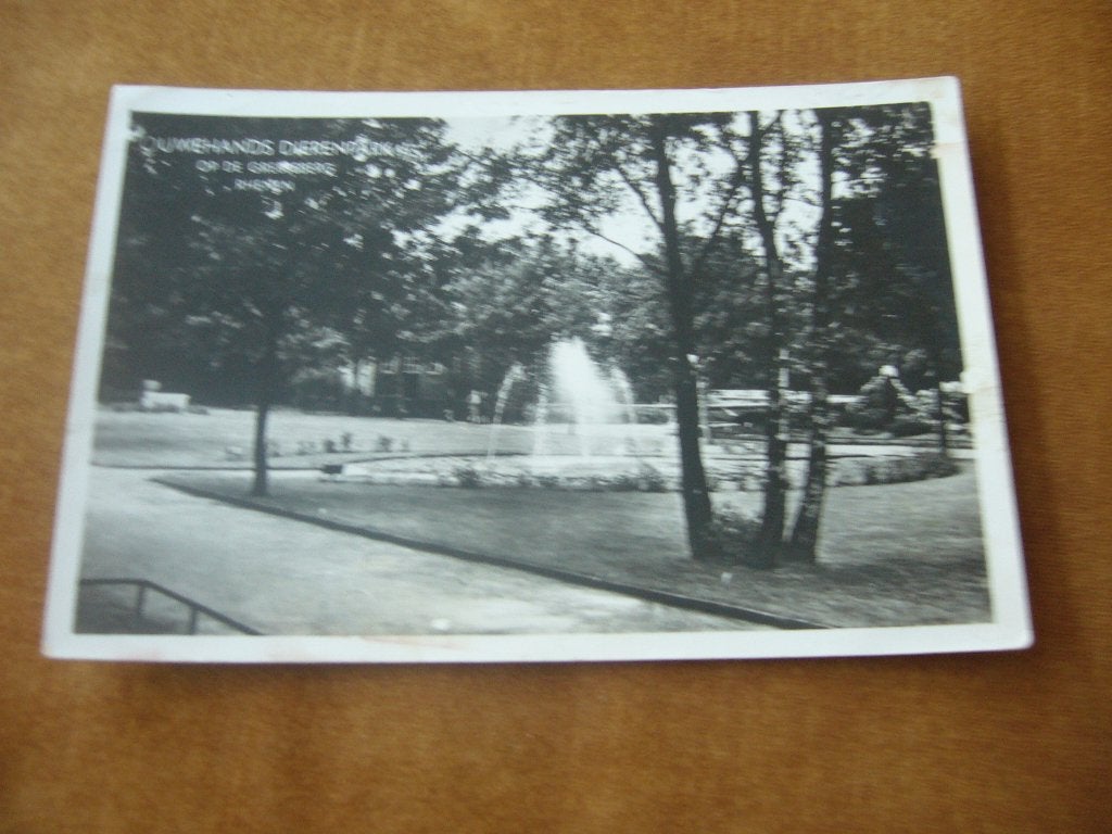 RHENEN  =  OUWEHANDS DIERENPARK, Ophalen of Verzenden, 1940 tot 1960, Gelopen, Utrecht