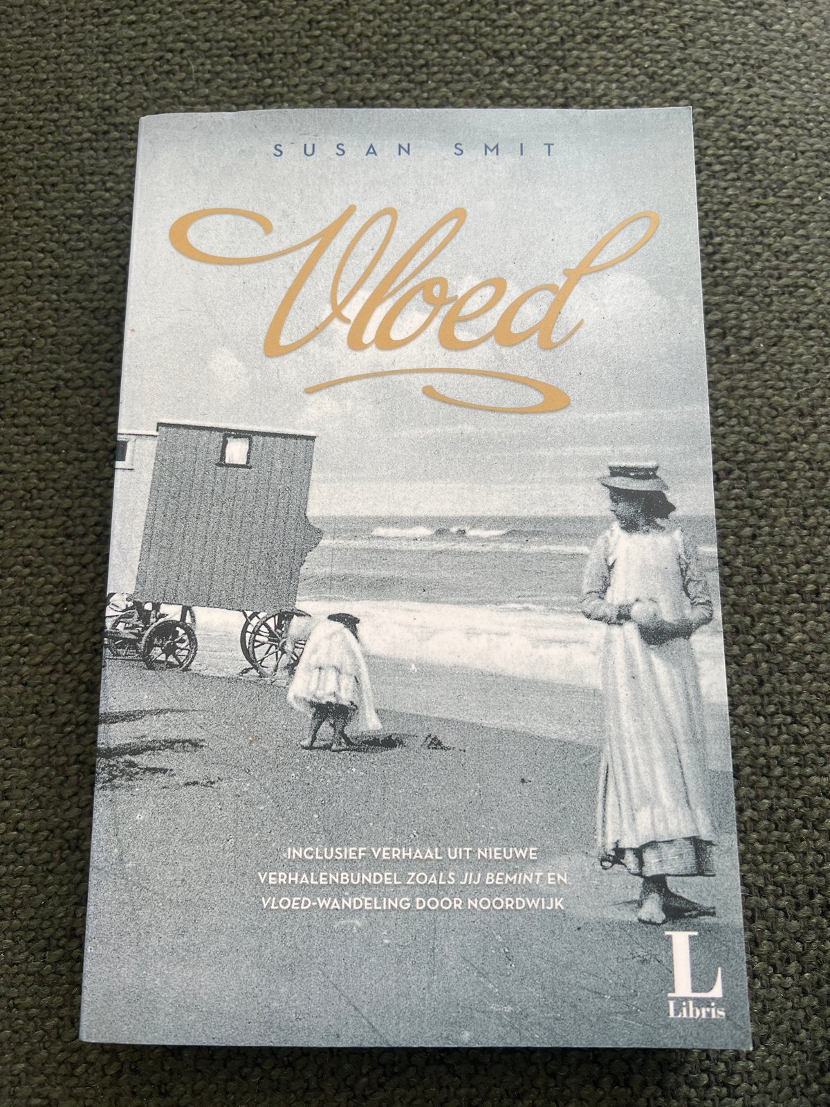 Vloed - Susan Smit (Inclusief verhaal en wandeling), Ophalen of Verzenden, Nieuw, Nederland