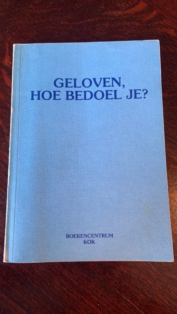 Geloven, hoe bedoel je?, Ophalen of Verzenden, Zo goed als nieuw