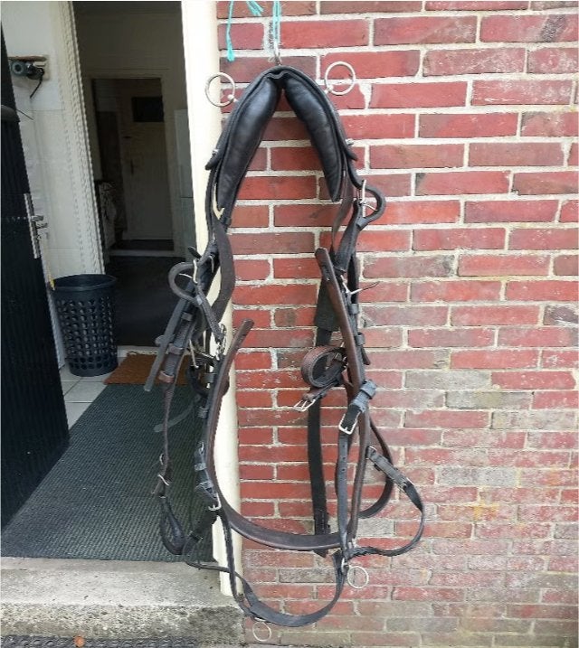 Te koop diverse tuigen, Ophalen, Gebruikt, Bruin, Full