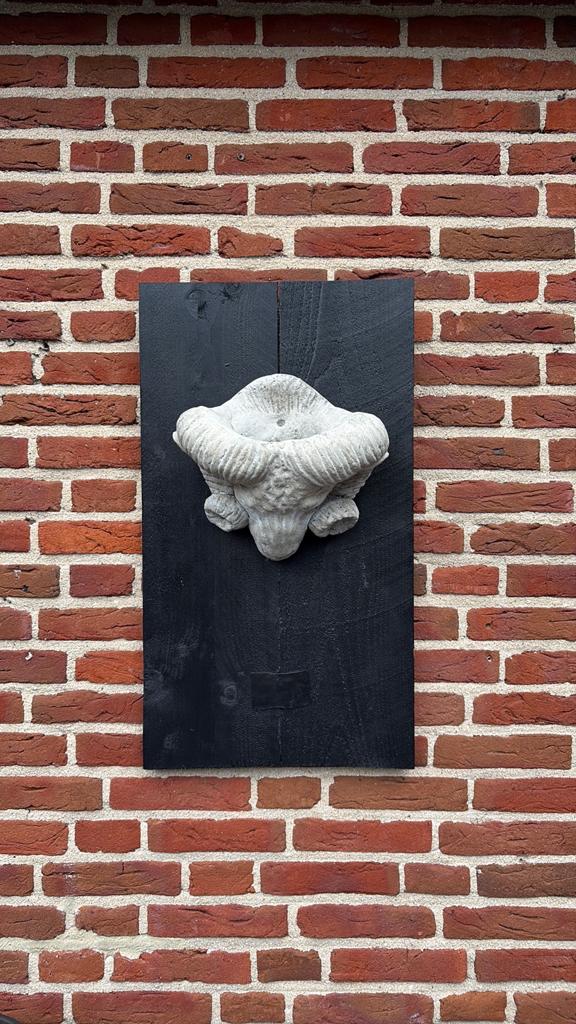 Wandpaneel hout met ramkop - plantenhanger, Ophalen, Gebruikt, Hout, Meerkleurig