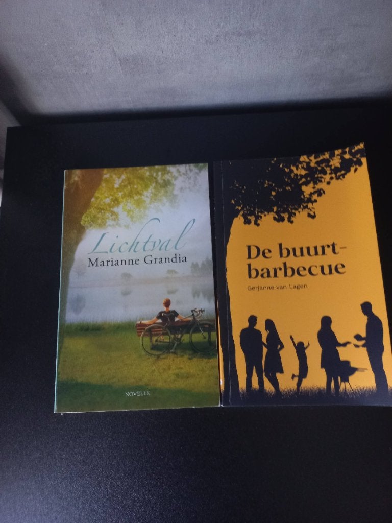 De buurtbarbecue/Lichtval, Ophalen of Verzenden, Gelezen