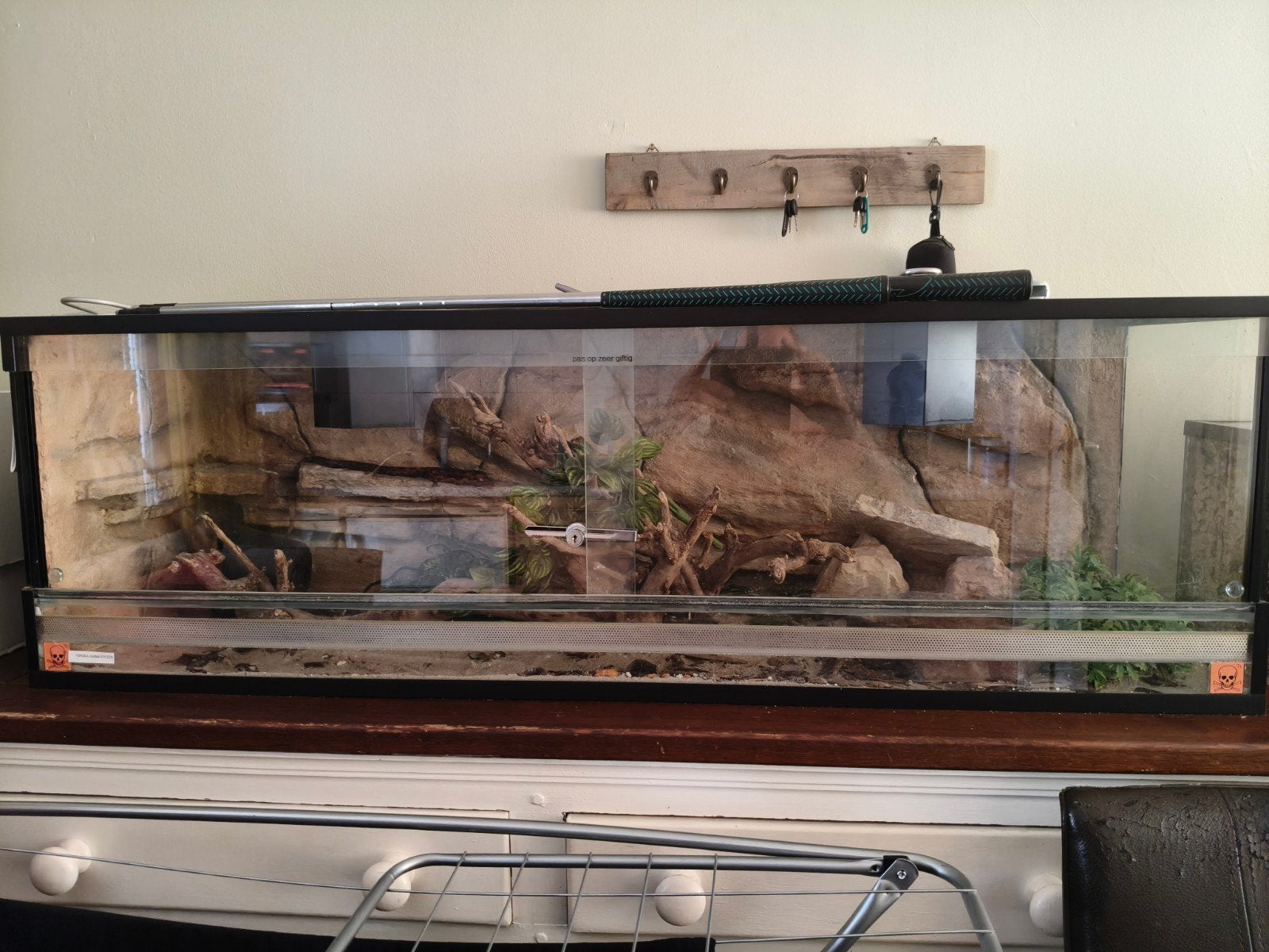 prachtig terrariummet rotsachterwand en inrichting 6mm dik, Ophalen, Zo goed als nieuw, Terrarium of Paludarium