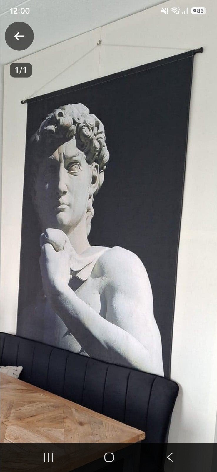 Wandkleed David Michelangelo - Klassiek en Modern, Ophalen, Zwart, Klassiek, Zo goed als nieuw