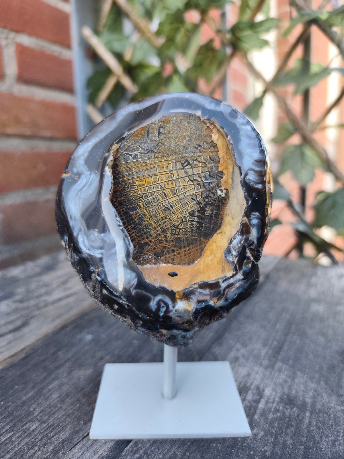 Versteend hout met agaat – gepolijst mineraal/fossiel, Huis en Inrichting, Woonaccessoires | Kransen, Ophalen of Verzenden, Nieuw