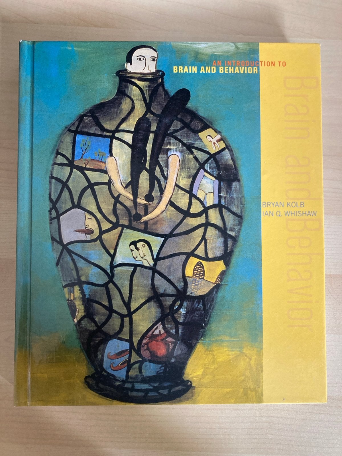 Brain and Behavior - Bryan Kolb & Ian Q. Whishaw, Boeken, Ophalen of Verzenden, Beta, Zo goed als nieuw, HBO